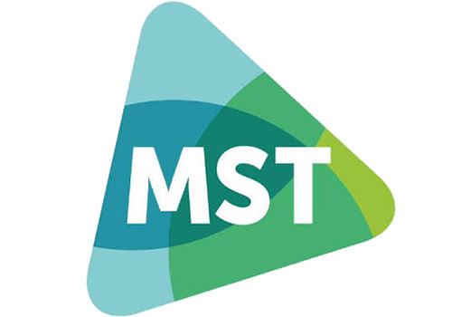 logo-mst